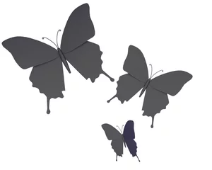 Fototapeten Zwarte vlinders tegen witte achtergrond © emieldelange
