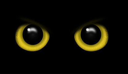 Eyes of a wild animal in the darkness vector