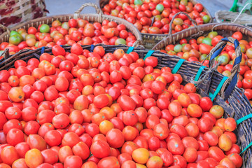 Obraz na płótnie Canvas Tomatoes in the basket