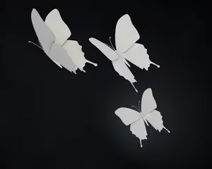 Fototapeten Drie papieren vlinders in de nacht © emieldelange