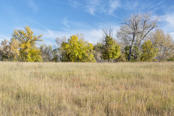 prairie fall scenery