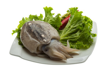 Raw cuttlefish