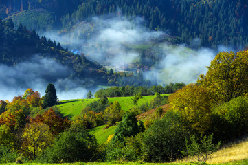 Autumn landscape