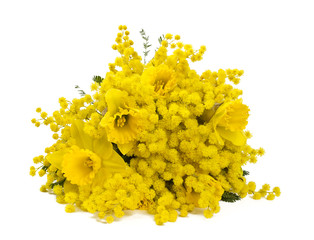 bouquet of mimosa and narcissus flowers isolated on white