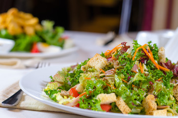 Plate of healthy leafy green salad with croutons