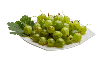 Gooseberry