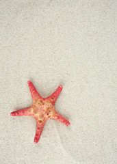 star on beach sand