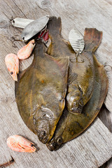 Fresh flounder