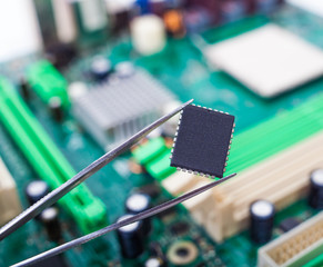 microchip in the tweezers