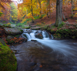 Autumn landscape