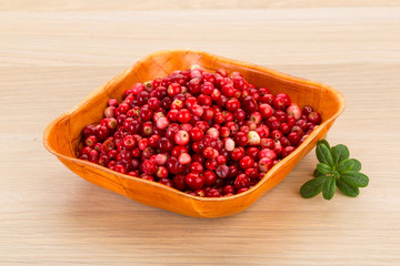 Cowberry