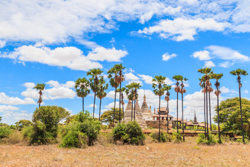 Naklejka premium Ancient pagodas in Old Bagan, Bagan-Nyaung U, Myanmar