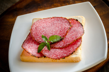 Toast with italian salami