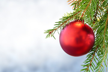 red christmas bauble on green fir branch