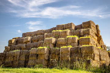 Bale of haystack