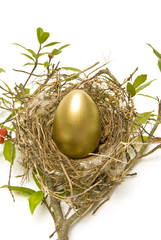 Golden Egg In Nest