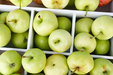 Ripe apples in box close-up