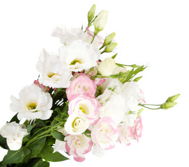 Obraz na płótnie Canvas Beautiful eustoma flowers, isolated on white