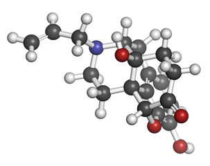 Naloxone opioid receptor antagonist. 