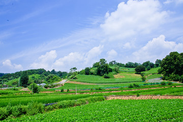 Obraz premium 제천의 풍경