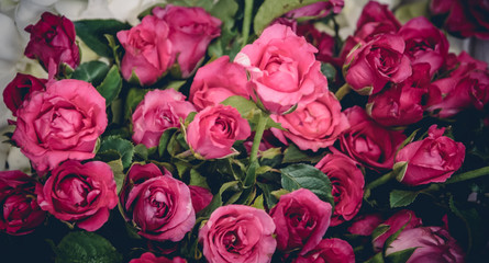 Fototapeta premium Vintage flowers, floral background.