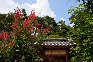 Fototapeta premium 박물관