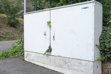 &Uuml;berlebenskampf