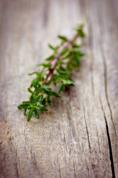 Thyme on a wooden rustic table