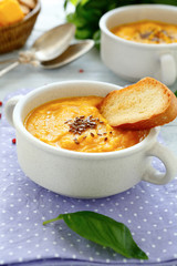 vegetable soup puree