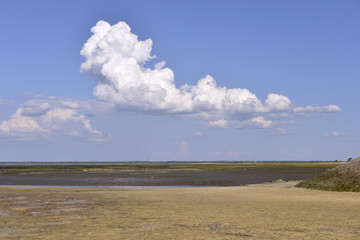 Fototapeta na wymiar Arcachon Bay at low tide