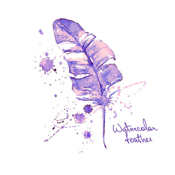 Isolated watercolor feather