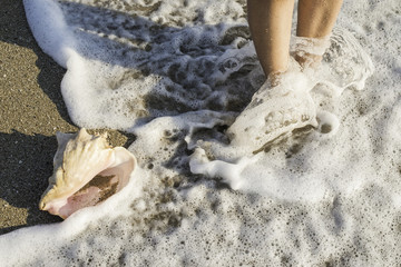 Shells on the beach. Foots in water