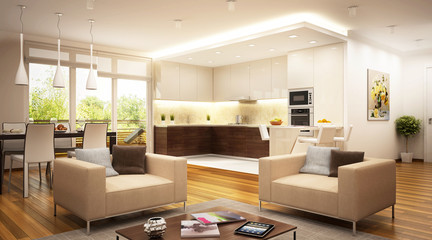 Modern kitchen and living room