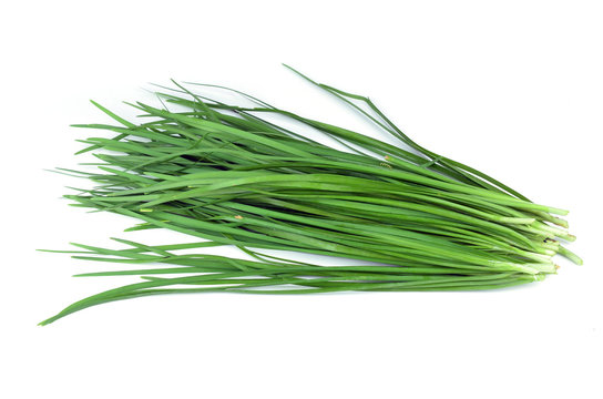 Bundle of garlic chives isolated on white background