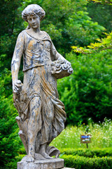 Fototapeta premium 허브나라