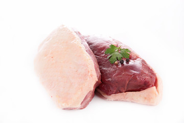 duck meat breast
