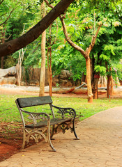 Bench in the park