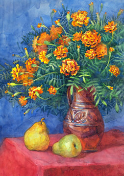 Watercolor still life. Marigolds magnificent bouquet with ripe p