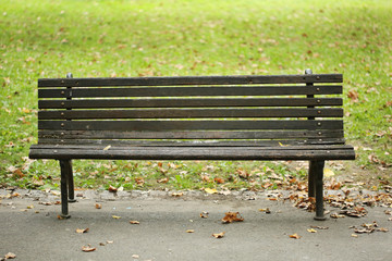 Empty Old Park Bench and Fallen Autumn Leaves