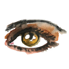 Watercolor hand drawn eye. Make up.
