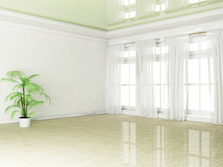 empty room with a plant and a window