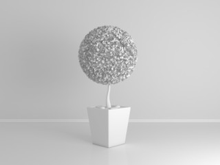 Decorative plant isolated on white.