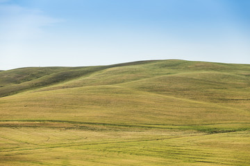 The grassy knoll with blue sky