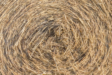 Roll straw texture and background