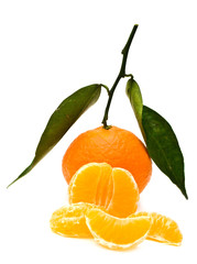 mandarine and lobules