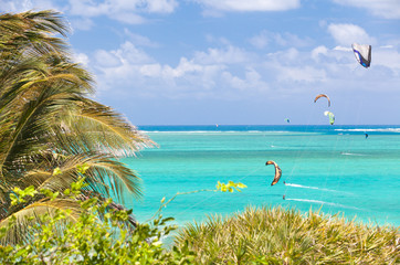kite surf sous les cocotiers de Rodrigues