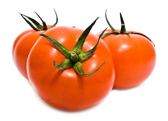 group is a tomato