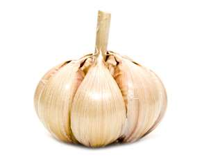 Obraz premium garlic