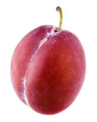 Fresh red plum isolated on white background with clipping path