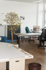 Unaufgeräumter alter Büroraum mit verwelkter Pflanze